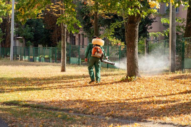 Professional Pest Control in Adelanto, CA